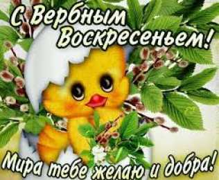 открытки с вербным воскресеньем  Красивые открытки с теплыми пожеланиями на вербное воскресенье 
