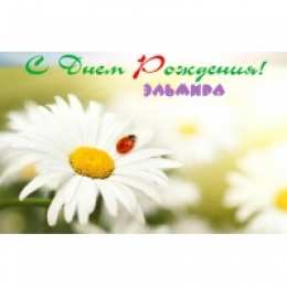 открытки с именем Эльмира именные открытки с поздравлениями на праздники для Эльмиры   