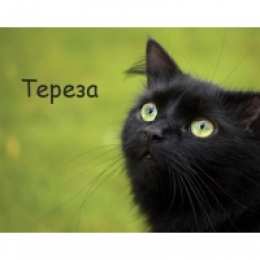открытки с именем Тереза Именные открытки с поздравлениями и пожеланиями для Терезы  