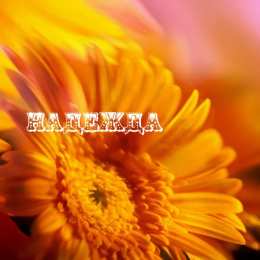 открытки с именем Надежда  Именные открытки с поздравлениями и пожеланиями для Надежды 