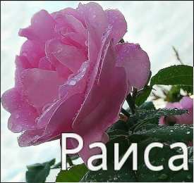 открытки с именем Раиса  именные открытки с поздравлениями и пожеланиями для Раисы   