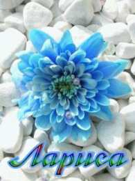 открытки с именем Лариса Красивые именные открытки на день рождения для Ларисы        