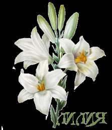 открытки с именем Лилия Именные открытки с пожеланиями и поздравлениями для Лилии    