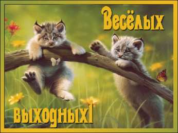 открытки с пожеланиями хорошей субботы  Яркие и красивые открытки с пожеланиями  отличной субботы   