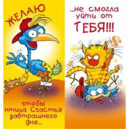 открытки с приколами на день рождения  Яркие открытки с приколами на день рождения. Юмор для друзей 