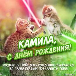 открытки с именем Камилла Именные открытки с пожеланиями на день рождения для Камиллы 