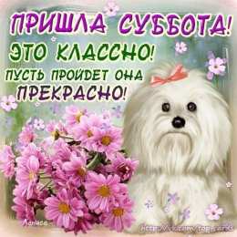 открытки с пожеланиями хорошей субботы  Яркие и красивые открытки с пожеланиями  отличной субботы   