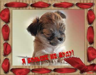 открытки с извинениями  Милые открытки с извинениями на каждый день. Открытки с извинениями 