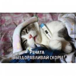 открытки с именем Рената Именные открытки с поздравлениями и пожеланиями для Ренаты   