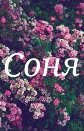 открытки с именем Софья Именные открытки с поздравлениями и пожеланиями для Софьи    