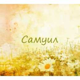 Открытки с именем Самуил Яркие и красочные именные открытки на праздники для Самуила  