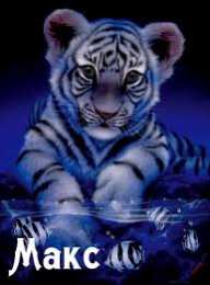 Открытки с именем Максим  Яркие и красочные именные открытки на разные праздники для Максима 