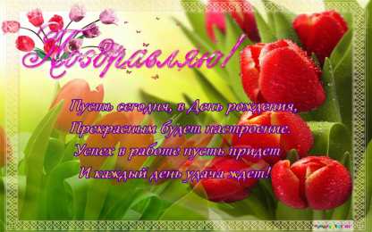 открытки с тюльпанами на день рождения Красивые открытки с тюльпанами на день рождения              