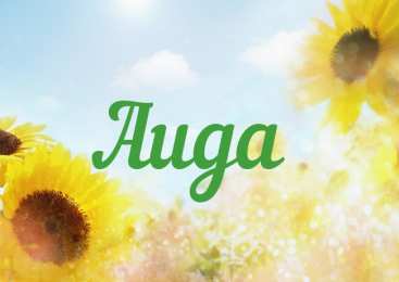 открытки с именем Аида Именные открытки с поздравлениями и пожеланиями для Аиды    