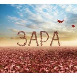 открытки с именем Зара  Именные открытки  с поздравлениями и пожеланиями для Зары    