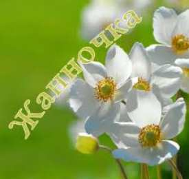 открытки с именем Жанна  Красивые именные открытки с пожеланиями и поздравлениями для Жанны 