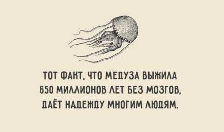 Остроумные открытки с приколами Остроумные открытки с приколами на каждый день. Картинки с юмором 