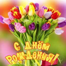 открытки с тюльпанами на день рождения Красивые открытки с тюльпанами на день рождения              