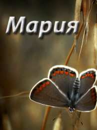 открытки с именем Маша Красивые именные открытки с поздравлениями и пожеланиями для Марии 