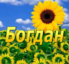 открытки с именем Богдан Именные открытки на праздники и каждый день для Богдана           