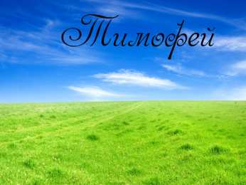 Открытки с именем Тимофей Яркие и красочные именные открытки для Тимофея                   