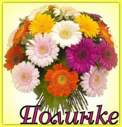 открытки с именем Полина Именные открытки с поздравлениями и пожеланиями для Полины   