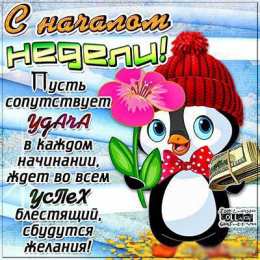 открытки с пожеланиями хорошей недели  Яркие открытки с пожеланиями удачной и продуктивной недели    