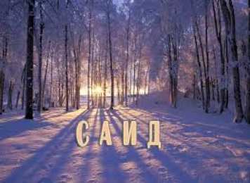 Открытки с именем Саид Яркие и красочные именные открытки для Саида                     