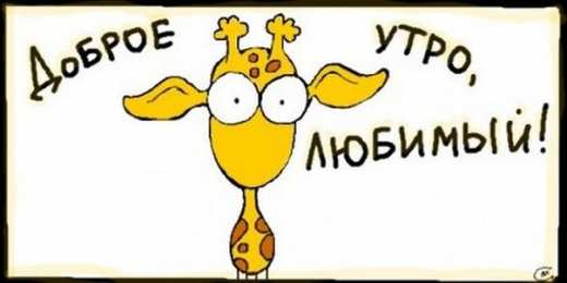 Открытки с приколами доброе утро Открытки с приколами на каждое утро. Доброе утро с юмором   