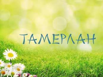 Открытки с именем Тамерлан Яркие и красочные именные открытки для Тамерлана            