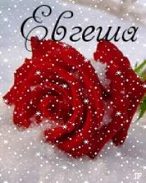 открытки с именем Евгения  Именные открытки с поздравлениями и пожеланиями для Евгении 