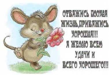 открытки с пожеланиями всего хорошего Милые открытки с пожеланиями  всего хорошего. Удачи, счастья 