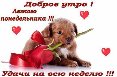 открытки с пожеланиями удачного понедельника  Открытки с пожеланиями удачного и легкого понедельника               