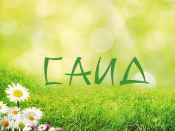 Открытки с именем Саид Яркие и красочные именные открытки для Саида                     