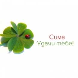 открытки с именем Серафима Именные открытки с поздравлениями и пожеланиями для Серафимы 