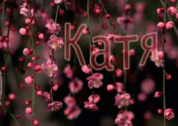 открытки с именем Катя Именные открытки с теплыми пожеланиями и поздравлениями для Катя