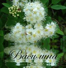 Открытки открытки с именем Василиса  Открытки с поздравлениями и пожеланиями для Василисы         Открытки с поздравлениями и пожеланиями для Василисы. Дорогой и любимой Ваське. Именные открытки с поздравлениями и пожеланиями для Василисы. Открытки на разные праздники 