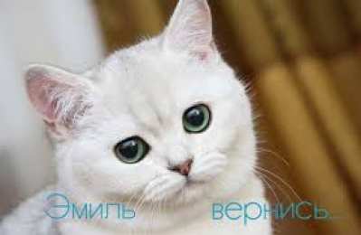 Открытки с именем Эмиль Яркие и красочные именные открытки для Эмиля                