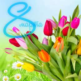 открытки с тюльпанами на 8 марта Красивые открытки с тюльпанами на 8 марта                    