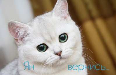 Открытки с именем Ян Яркие и красочные именные открытки с поздравлениями для Яна 