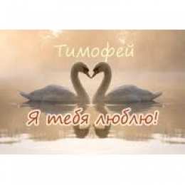 Открытки с именем Тимофей Яркие и красочные именные открытки для Тимофея                   