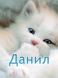открытки с именем Данил Именные открытки с поздравлениями и пожеланиями для Данила  
