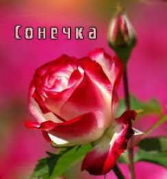 открытки с именем Софья Именные открытки с поздравлениями и пожеланиями для Софьи    