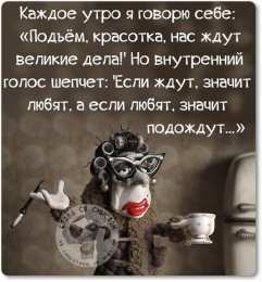 Открытки с приколами доброе утро Открытки с приколами на каждое утро. Доброе утро с юмором   