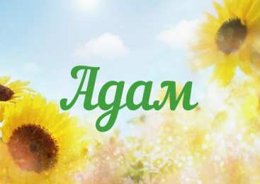 открытки с именем Адам Именные открытки на праздники и каждый день для Адама       