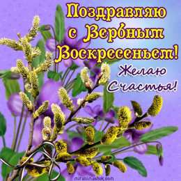 открытки с вербным воскресеньем  Красивые открытки с теплыми пожеланиями на вербное воскресенье 