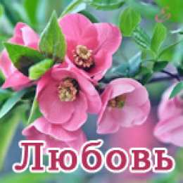  открытки для Любы