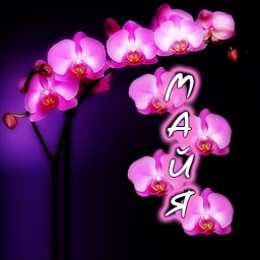  Открытки для Майи 