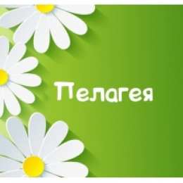  Открытки для Пелагеи  
