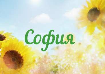  открытки с именем София